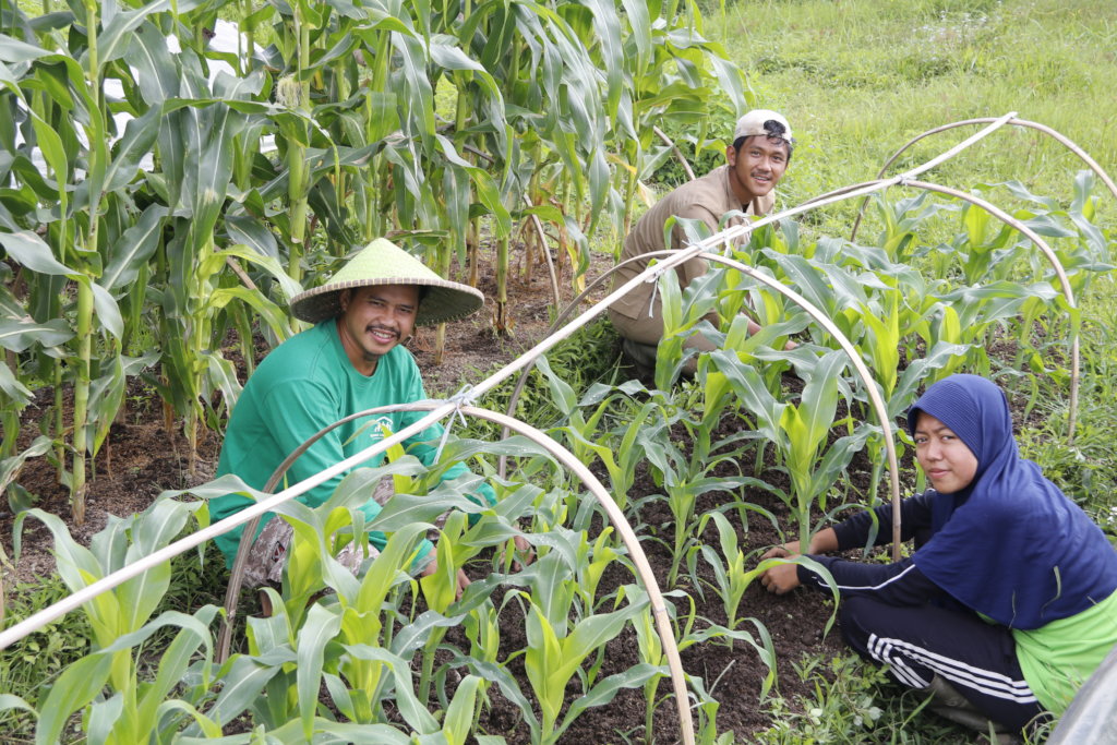 Donate to Yayasan Usaha Mulia / Foundation for Noble Work