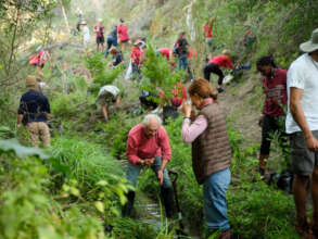 ERC Greenpop's 2024 Reforest Fest, South Africa