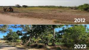 Camp Mainsprings' transformation