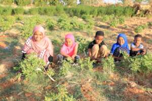 New generations at Camp Dryland Solutions