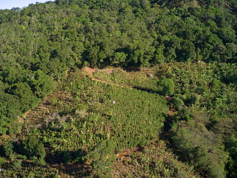 Asociacion Defensores del Monumento Natural Zona