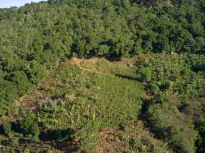 Asociacion Defensores del Monumento Natural Zona