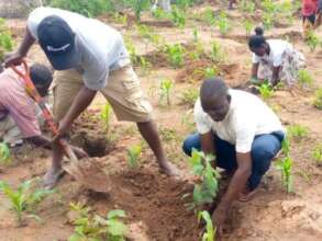 ERC Kwale Regeneration, Kenya
