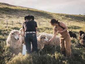 Regenerative agriculture at Elk Run Farm, Co., US