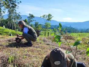 ERC Instituto Felinos do Aguai - Brazil
