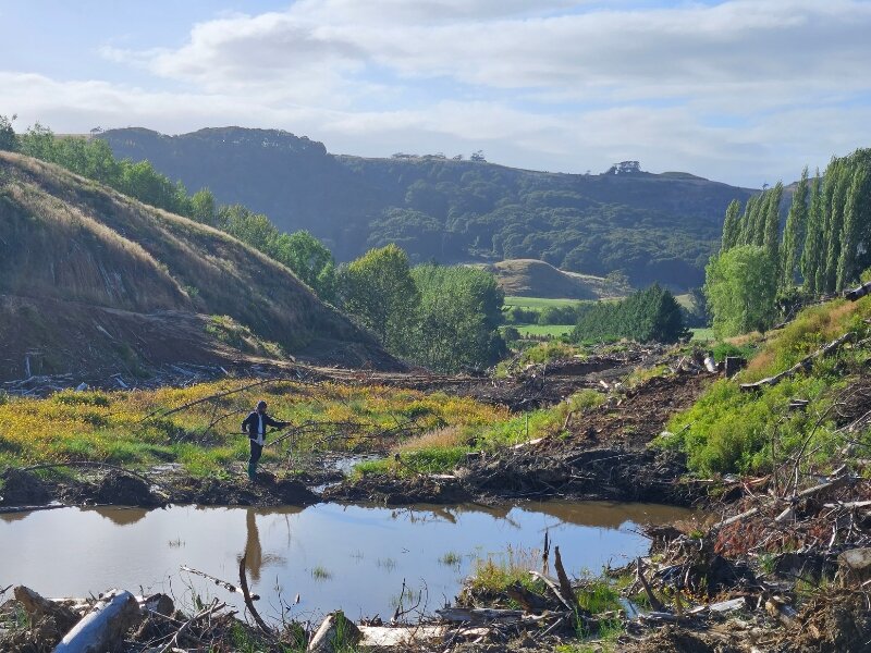 Lin Haven, New Zealand
