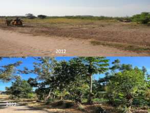 ERC Mainsprings (Tanzania)
