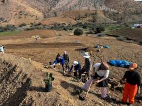 Restoration underway @ ERC Malin l'Ghaba, Morocco