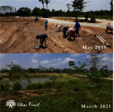 ERC Uthai Forest (Thailand)