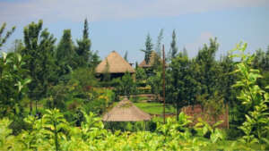 Camp Nguge Hills, located near Siaya Town, Kenya