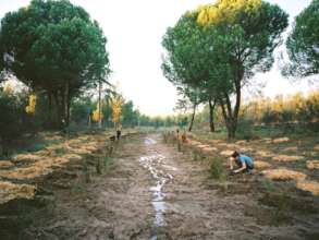 ERC Waking Life - Portugal