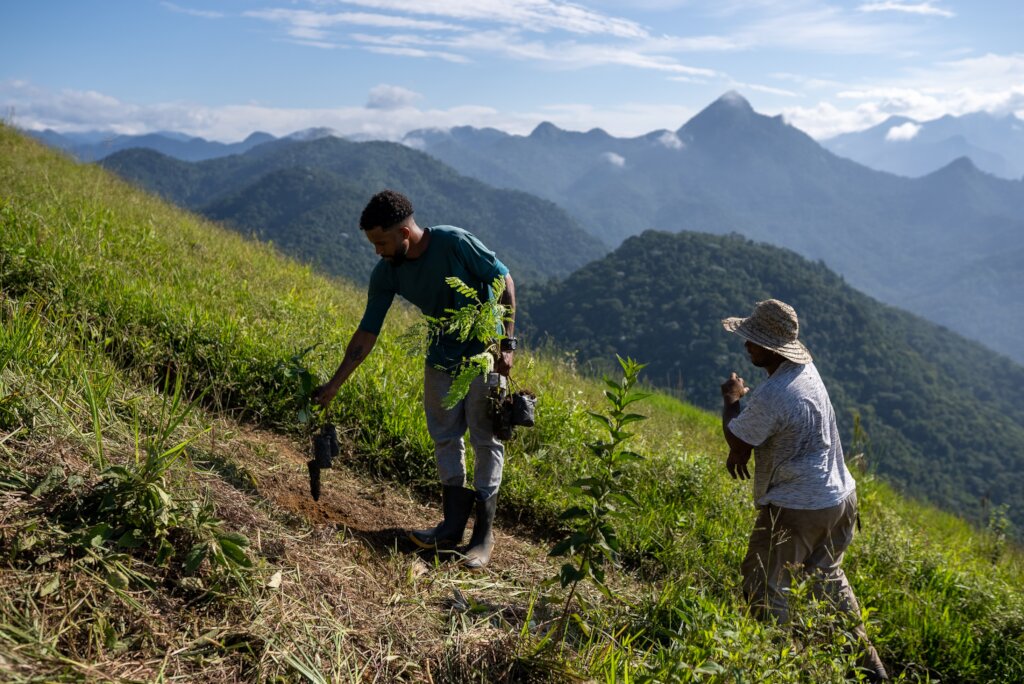 Tree planting on degraded mountain slopes, Brazil