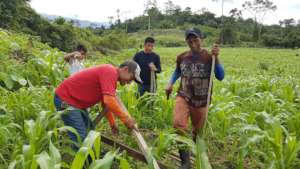 Locals learn to plant on contour in Guatemala