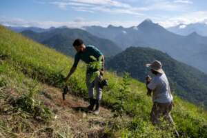 Tree planting on degraded mountain slopes, Brazil