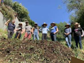 Restoring biodiversity in urban Hollywood, USA