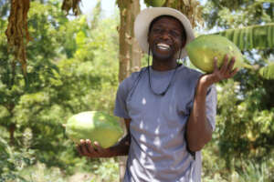 Growing papaya in Tanzania