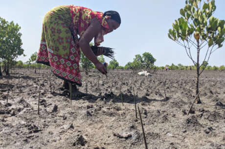 Empower 80+ communities restore their ecosystems