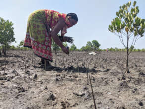 Empower 60+ communities restore their ecosystems