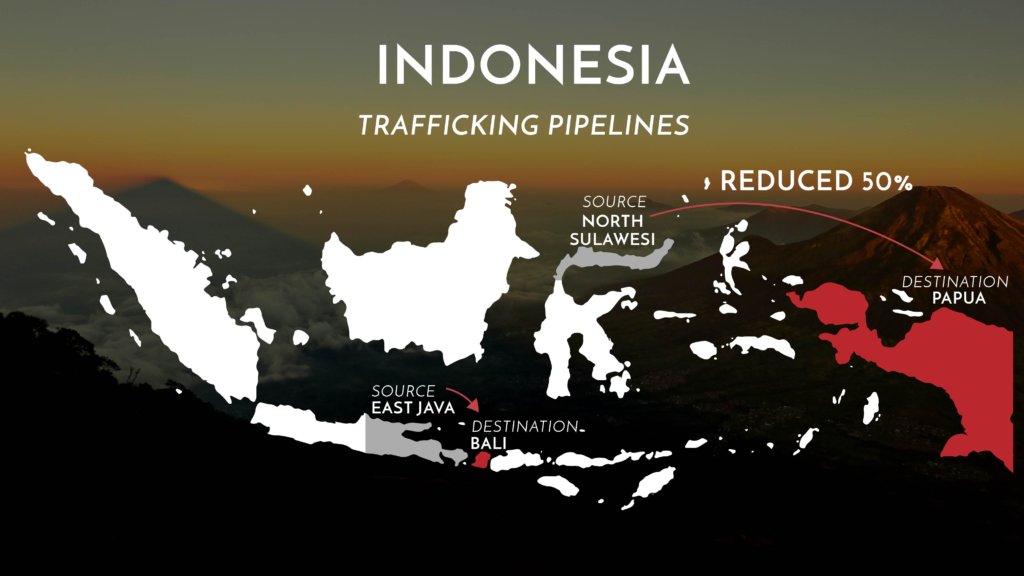Trafficking Pipeline Map