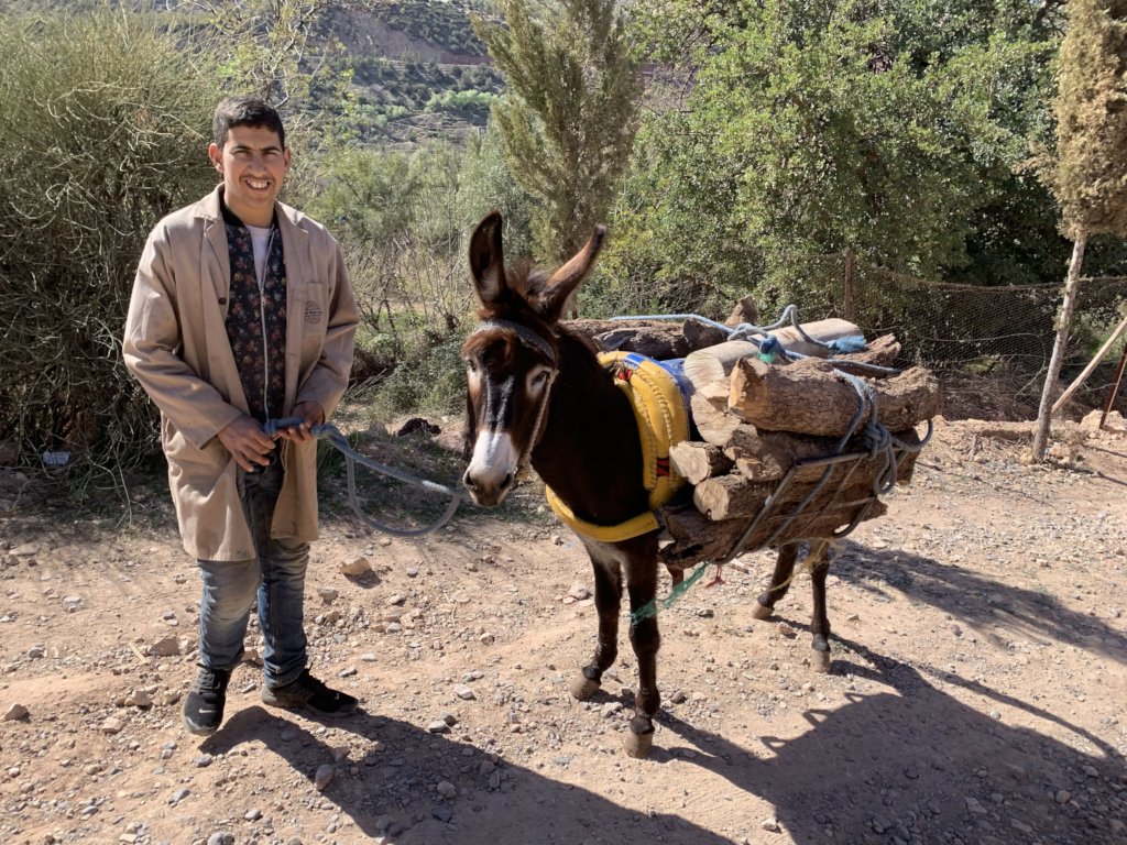 Train eight young Berber men in woodworking skills