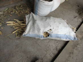 new way of transporting firewood (after chopping)