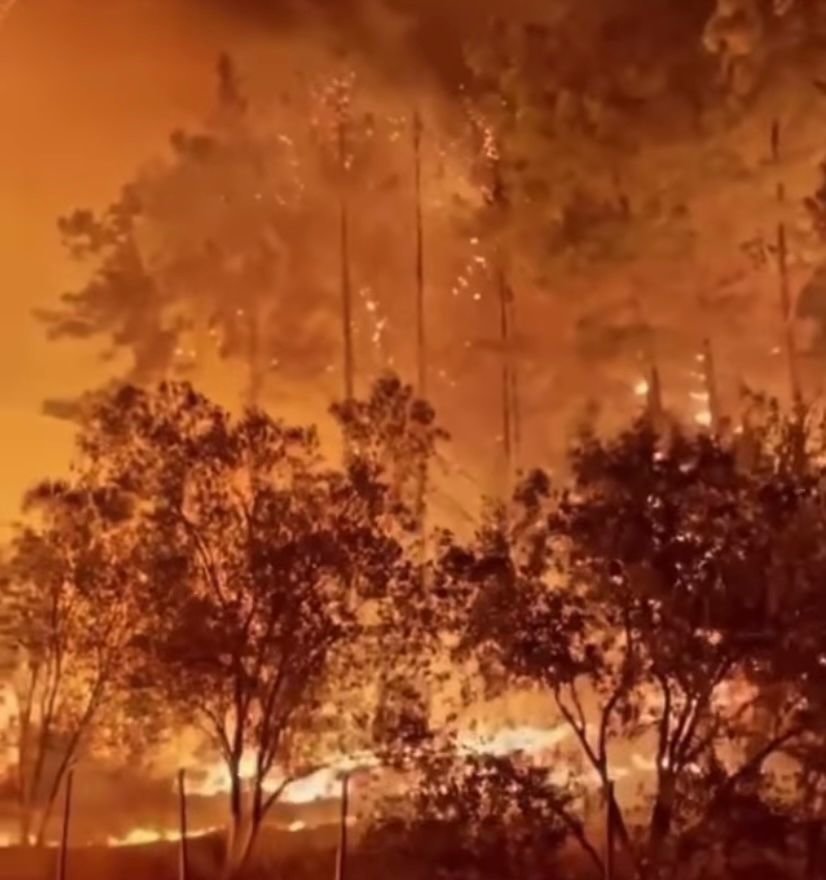 TPF Turkey 2021 Wildfire Relief Fund