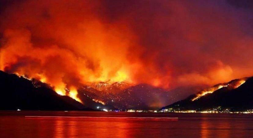 TPF Turkey 2021 Wildfire Relief Fund