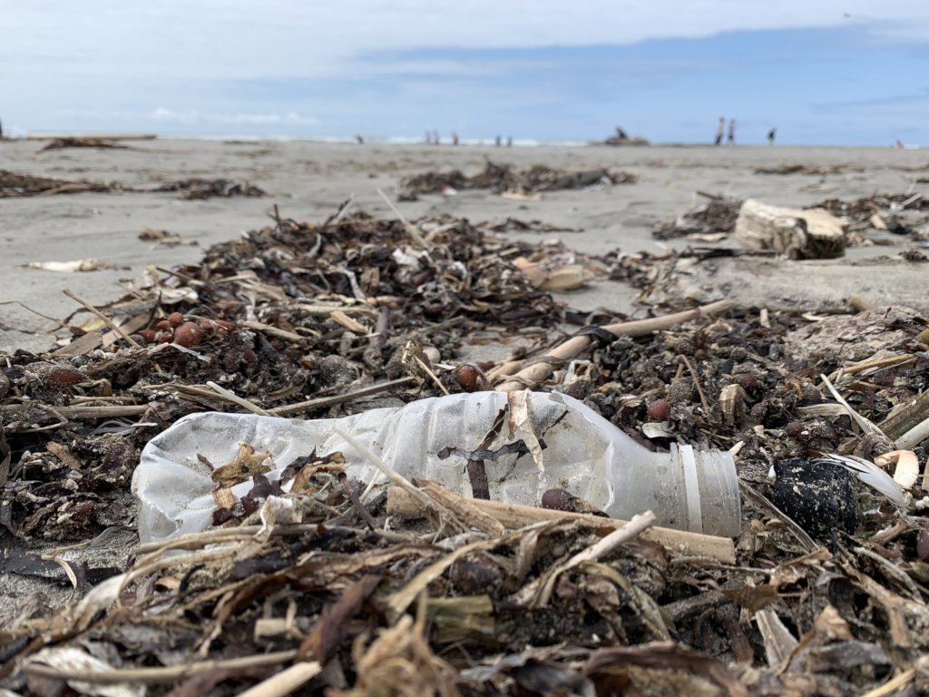 Mobilize 5,000 Volunteers at 200 Cleanups Annually