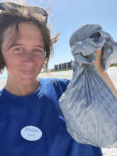 Florida Gulf Coast University at Sanibel Island