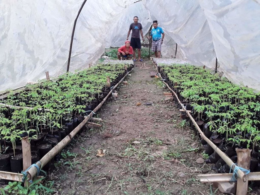 Agroforestry for livelihood improvement in Nepal
