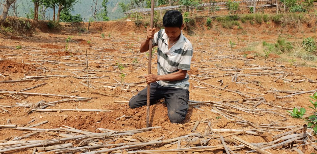 Agroforestry for livelihood improvement in Nepal