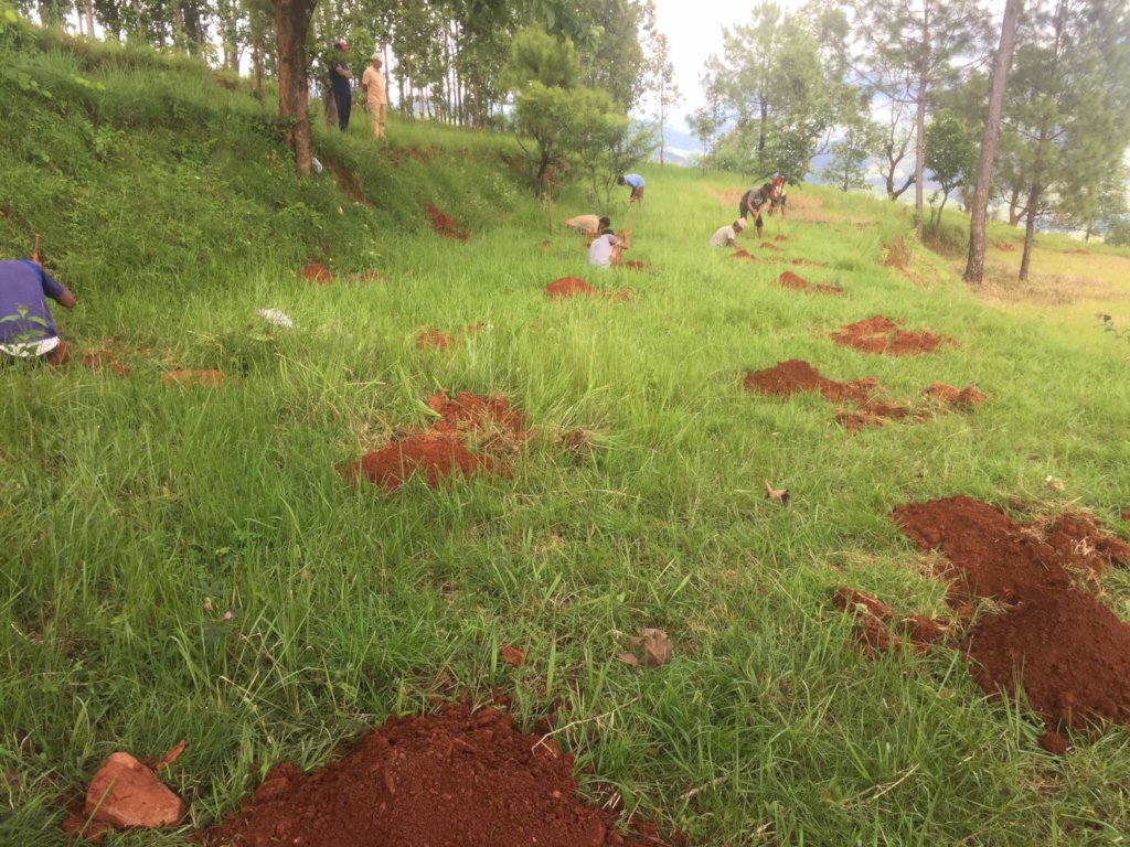 Agroforestry for livelihood improvement in Nepal