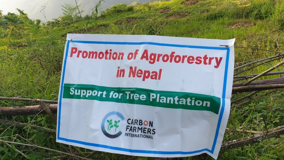 Agroforestry for livelihood improvement in Nepal