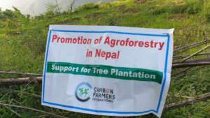 Agroforestry promotion