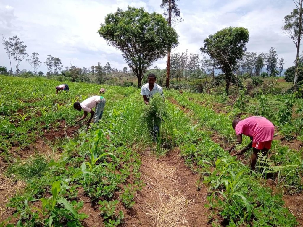 Organic Farming Empowerment and Entrepreneurship