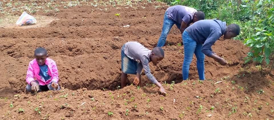 Organic Farming Empowerment and Entrepreneurship