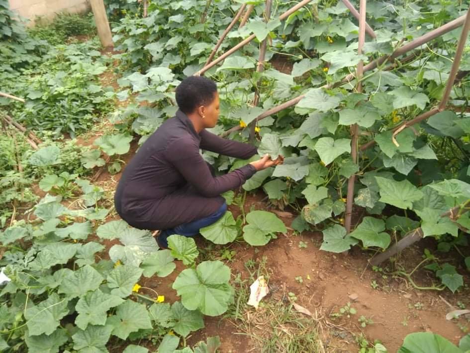 Organic Farming Empowerment and Entrepreneurship
