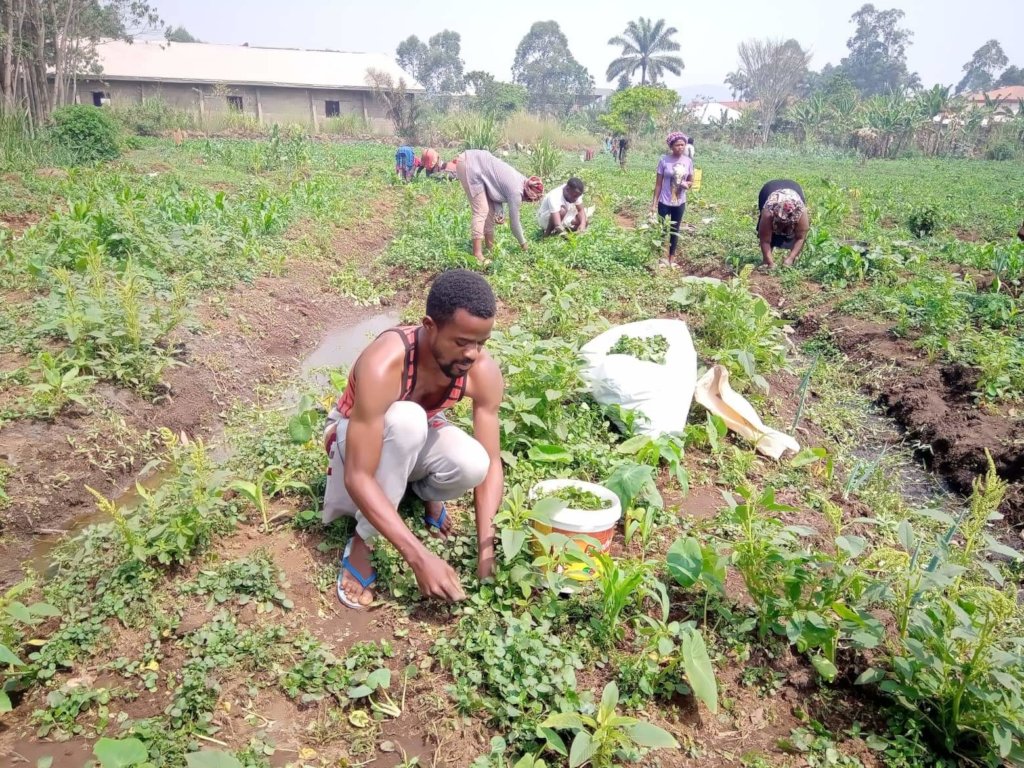 Organic Farming Empowerment and Entrepreneurship