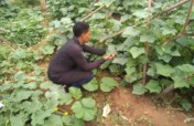 Organic Farming Empowerment and Entrepreneurship