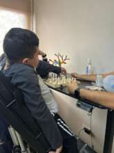 Physical Therapy