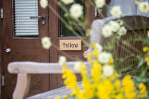 Yellow Room - childs bedroom
