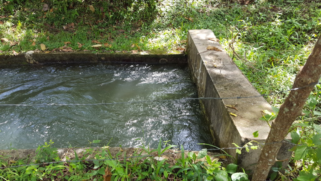 Provide Clean Water to 15 Schools in Honduras