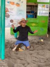 talking about sea turtles and their importance on