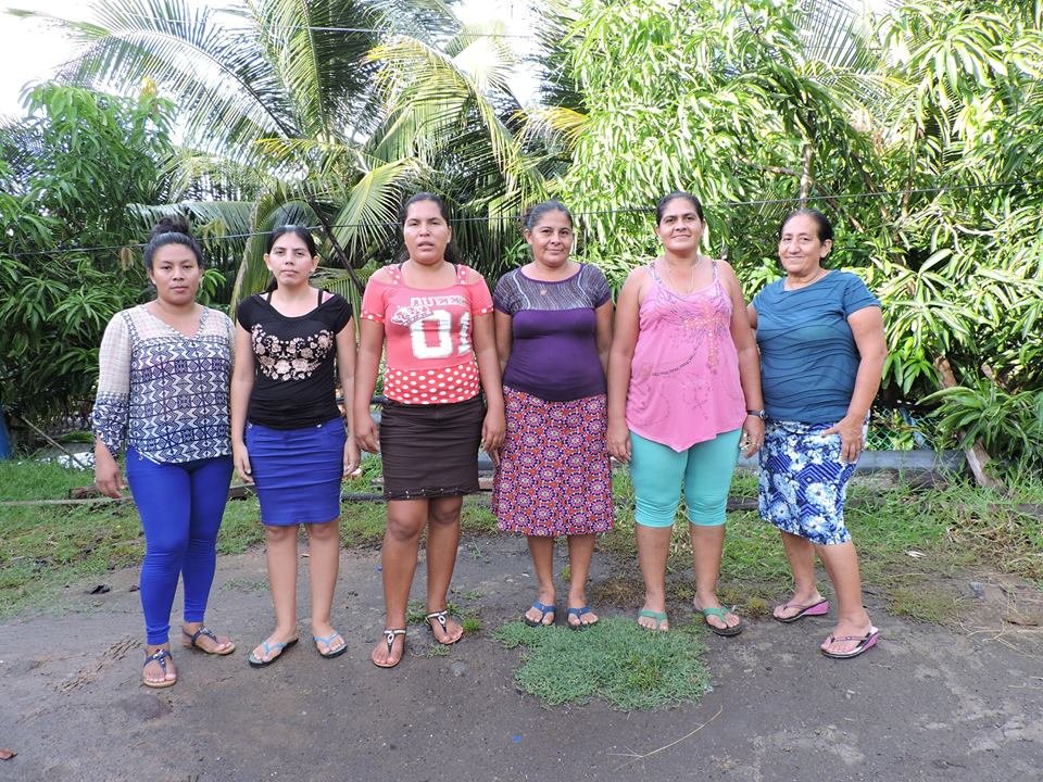 Save 60,000 Sea Turtles in El Salvador