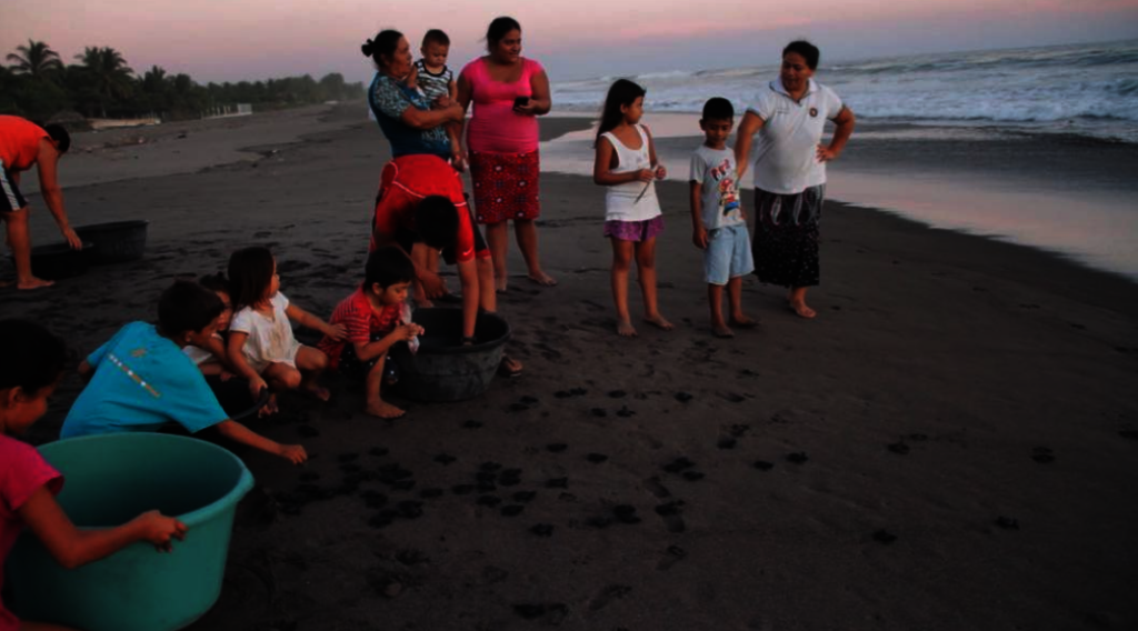 Save 60,000 Sea Turtles in El Salvador