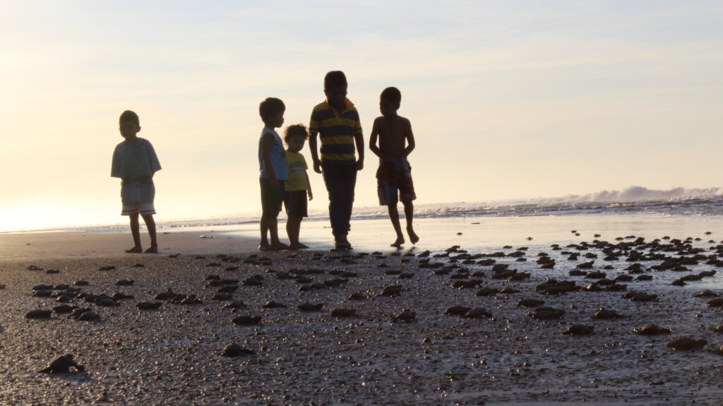 Save 60,000 Sea Turtles in El Salvador