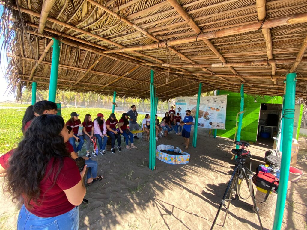 Save 60,000 Sea Turtles in El Salvador