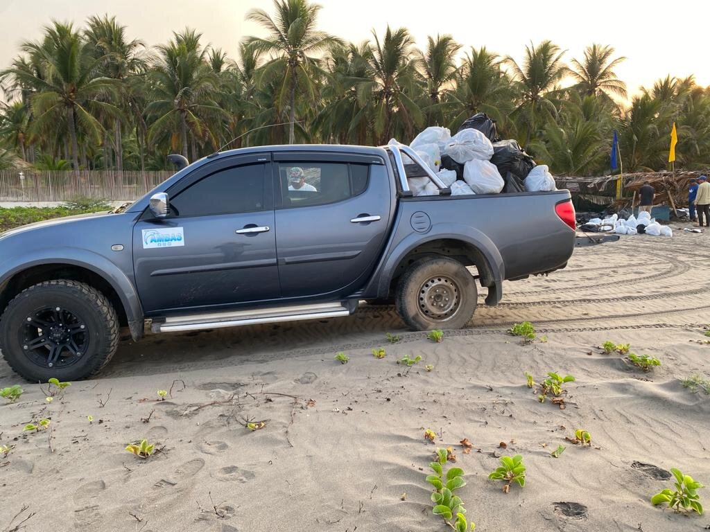 Save 60,000 Sea Turtles in El Salvador