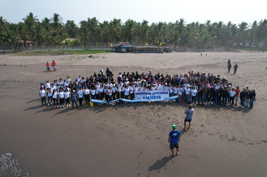 Save 60,000 Sea Turtles in El Salvador