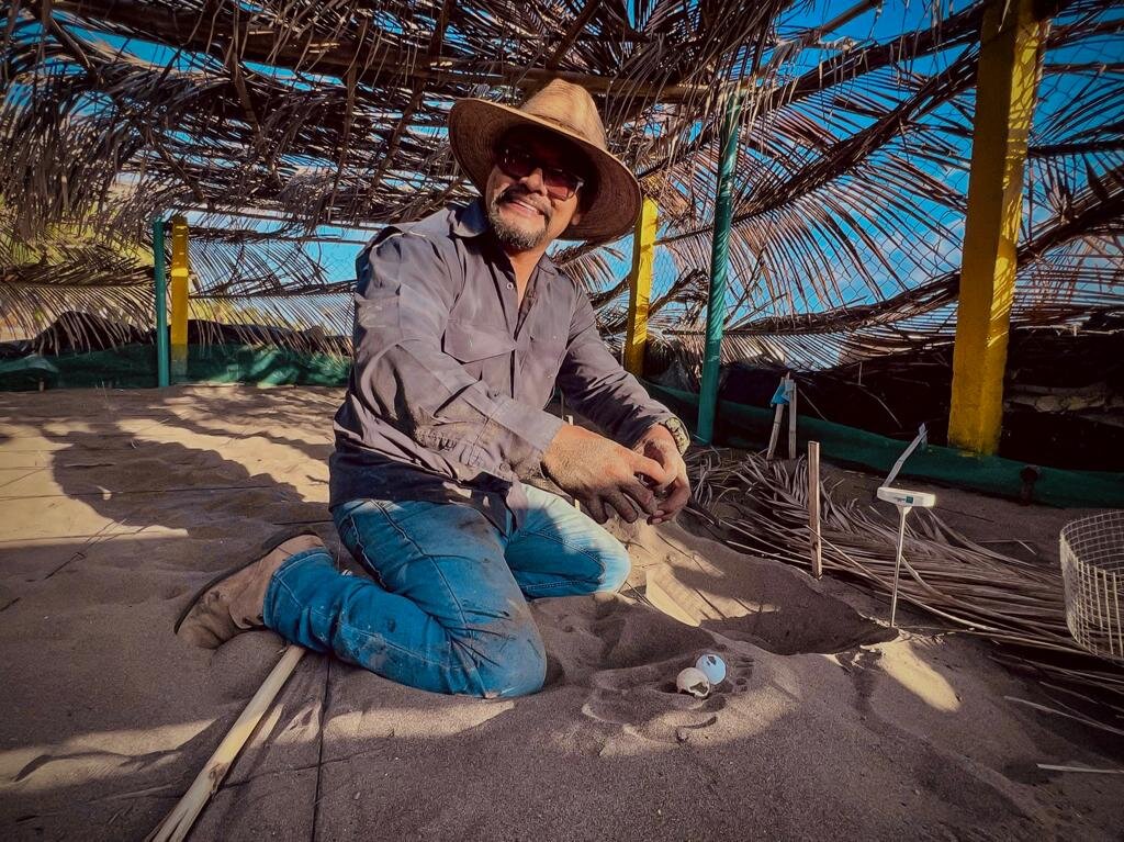 Save 60,000 Sea Turtles in El Salvador